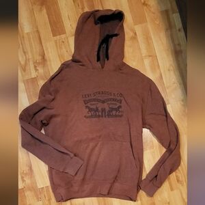 Levi's Chestnut Hoodie for Men